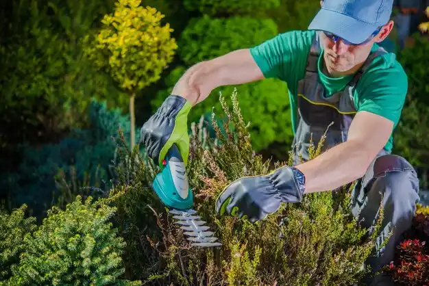 landscaping services Circleville